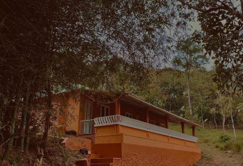 Bed and Breakfast Punarjani Ayurvedic Resorts