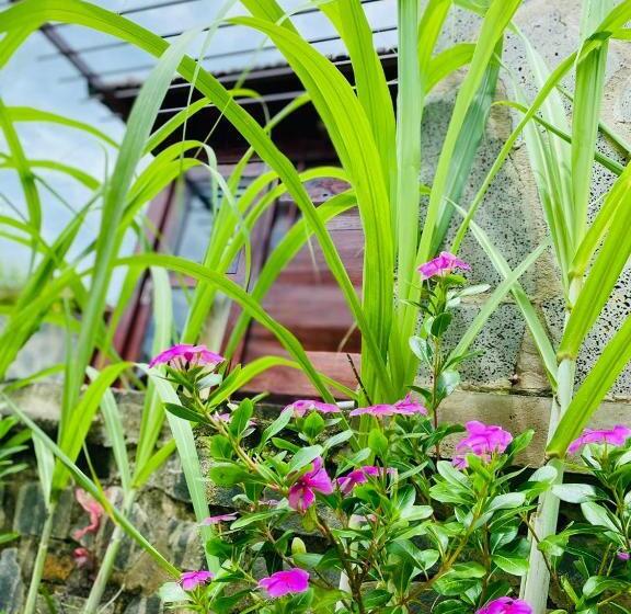 Bum King Resort Hồ Tràm