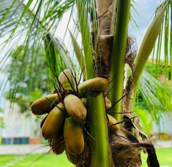 Bum King Resort Hồ Tràm