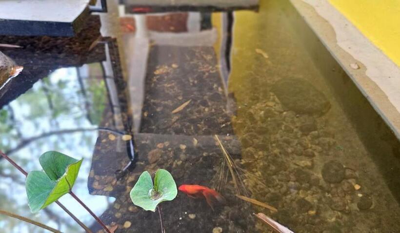 فندق Megam Guest House