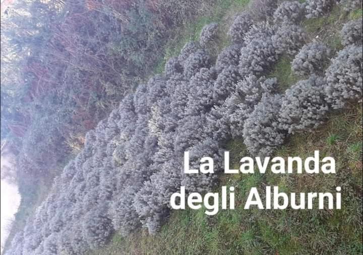 酒店 Residenza Rurale L Antico Castagneto