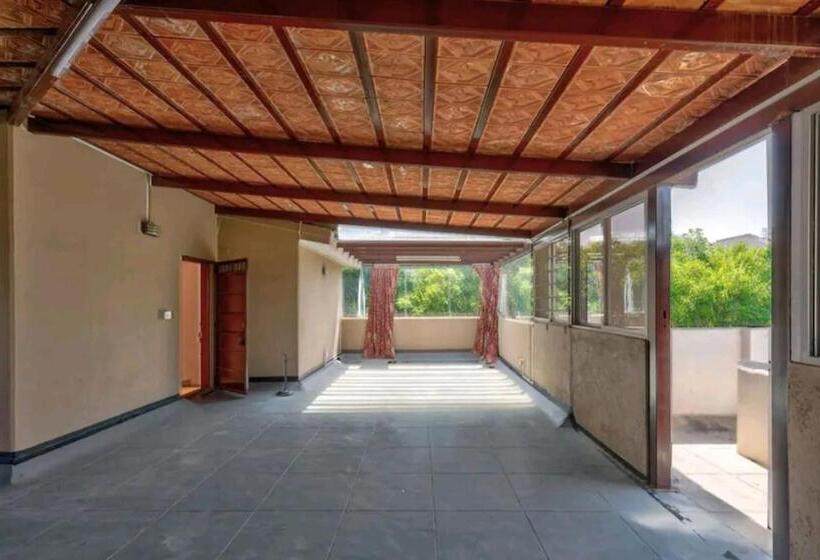 בית מלון כפרי Tulip Villa