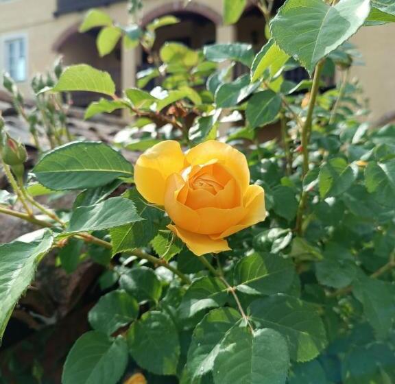 ホテル Villa Luisa