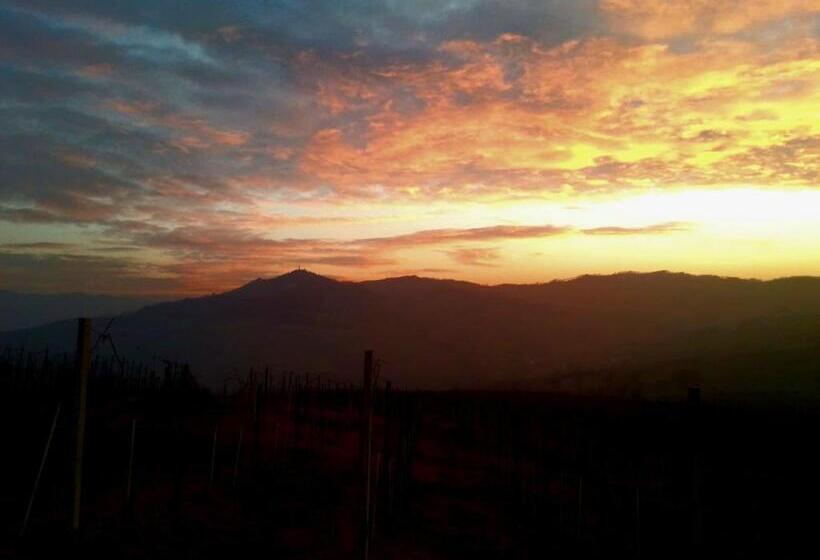 ホテル Villa Luisa