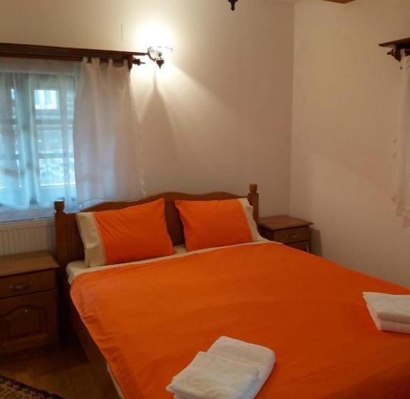 بنسيون Casa De Vacanta Padis