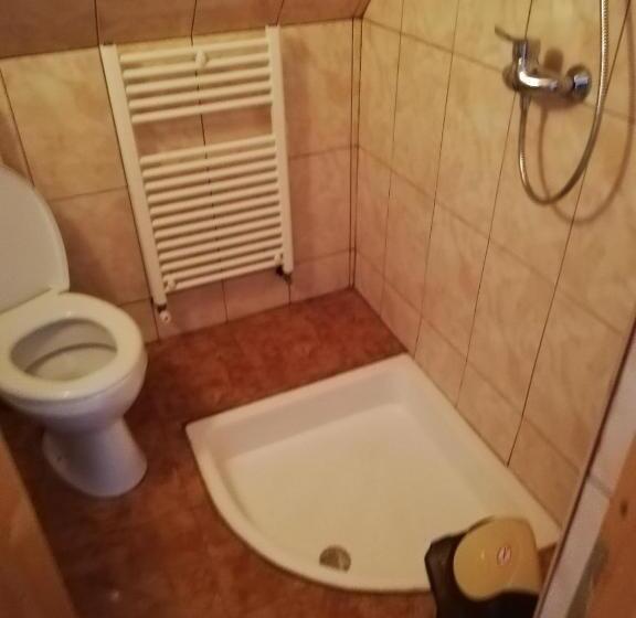 פנסיון Casa De Vacanta Padis