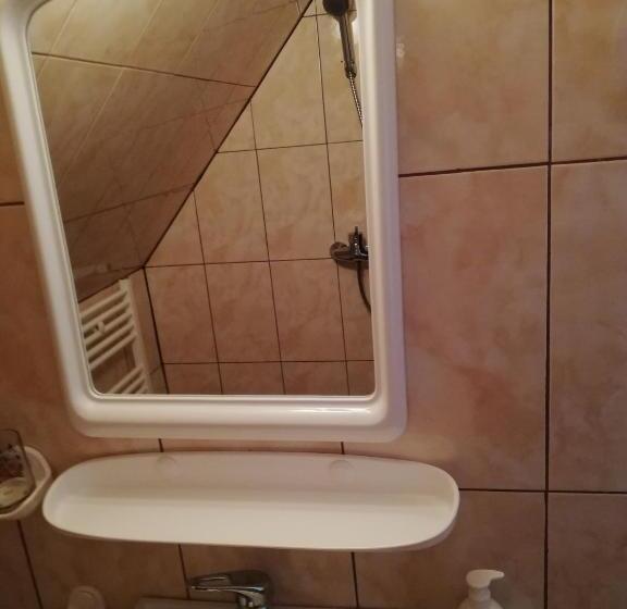 פנסיון Casa De Vacanta Padis