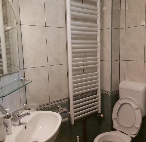 פנסיון Casa De Vacanta Padis