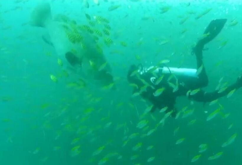 膳宿费 Eden Beach Resort