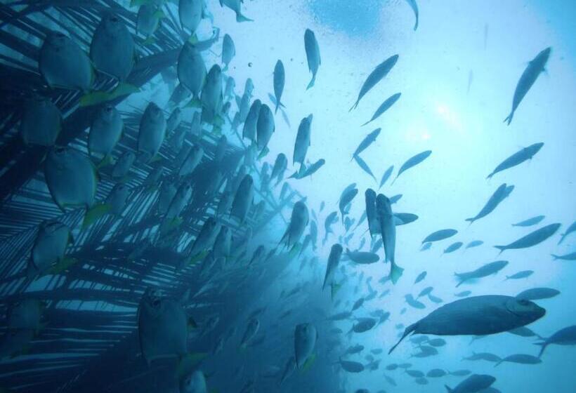 膳宿费 Eden Beach Resort