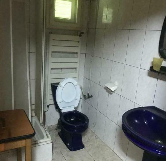 Общежитие Casa Postolache