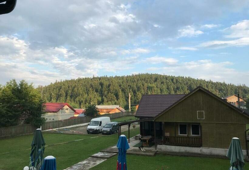 Общежитие Casa Postolache