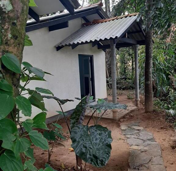 Bed and Breakfast Belihuloya Bliss Lodge And Cafe