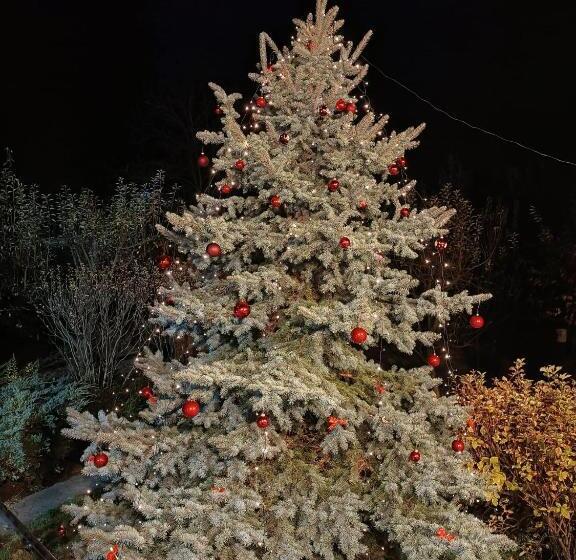 酒店 Lake Residence