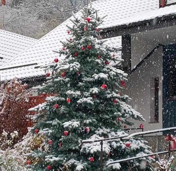 酒店 Lake Residence