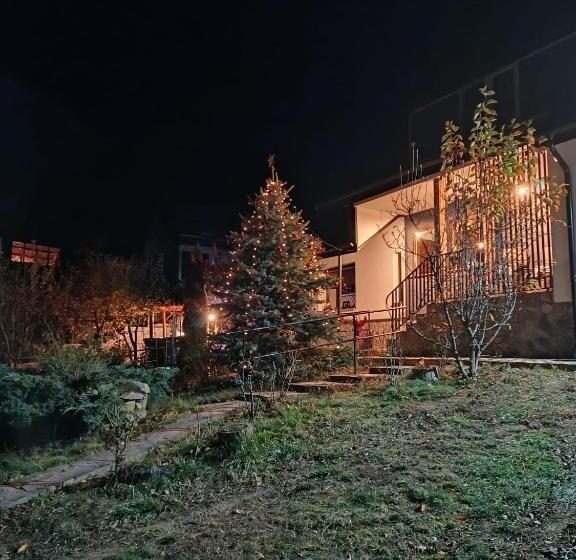 酒店 Lake Residence