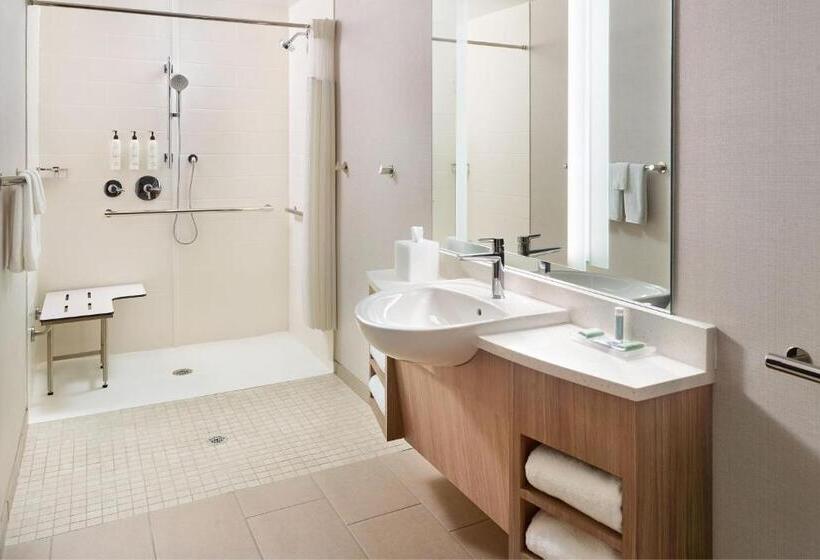 فندق Springhill Suites By Marriott Arlington Tn