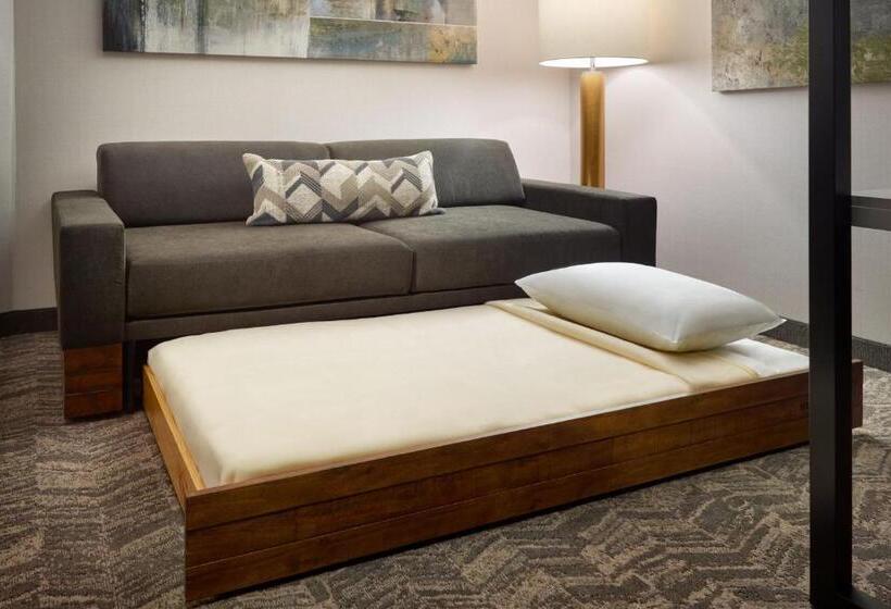 فندق Springhill Suites By Marriott Arlington Tn