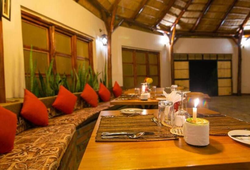 استراحتگاه Nile Treatz