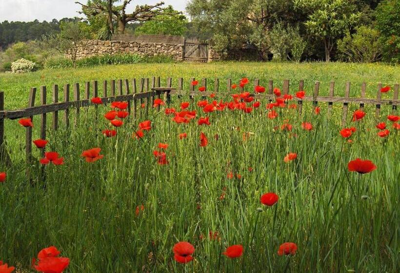 B&b Jardins De Vies