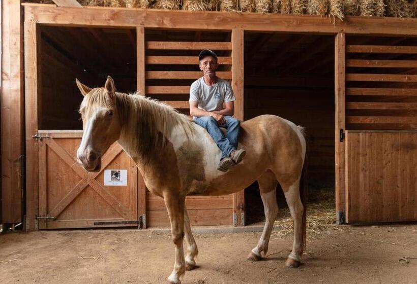 مبيت وإفطار Chambres D Hôtes Coeur De Bastié Et Ranch Du Lévézou