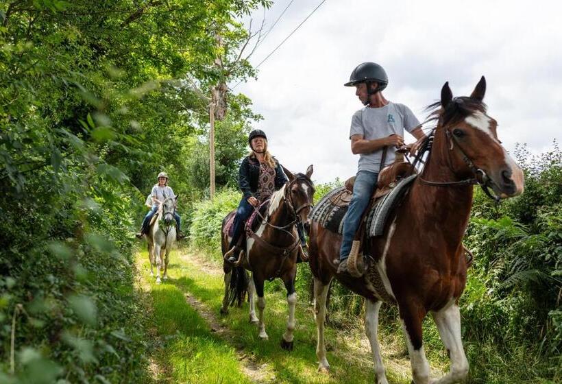 مبيت وإفطار Chambres D Hôtes Coeur De Bastié Et Ranch Du Lévézou