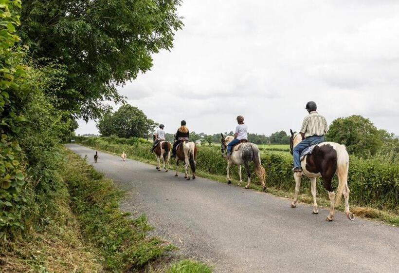 مبيت وإفطار Chambres D Hôtes Coeur De Bastié Et Ranch Du Lévézou