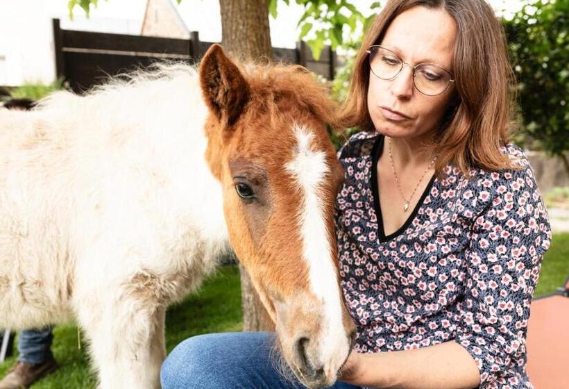 مبيت وإفطار Chambres D Hôtes Coeur De Bastié Et Ranch Du Lévézou