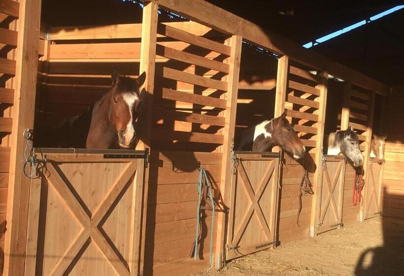 مبيت وإفطار Chambres D Hôtes Coeur De Bastié Et Ranch Du Lévézou