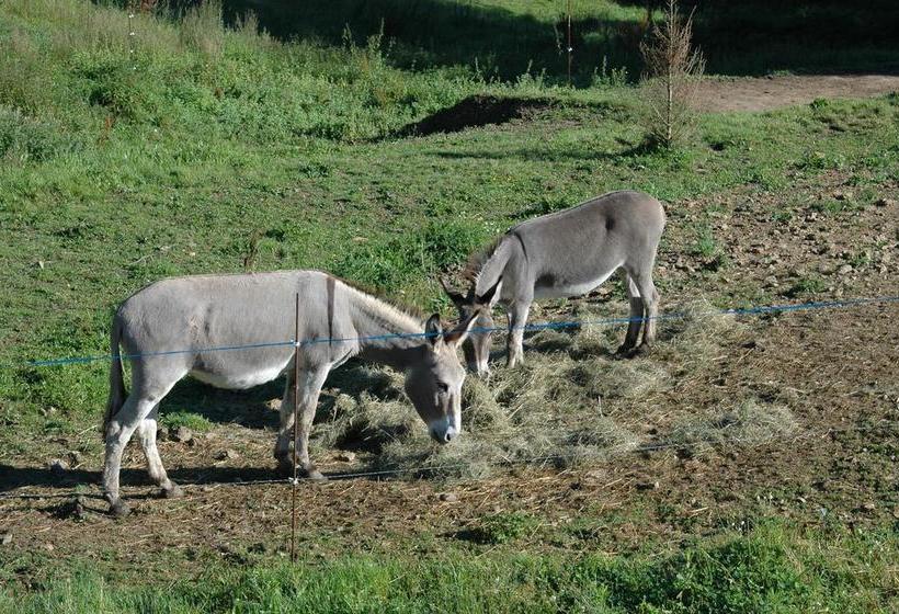 Villa Gites Chambre D Hôtes Avec Piscine Dordogne 2 4 6 8 10 Personnes