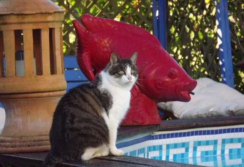 민박 Chambres D Hotes La Maison Bleue