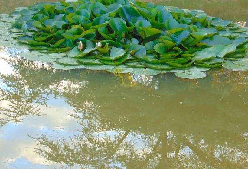 住宿加早餐 La Ferme Aux Oies