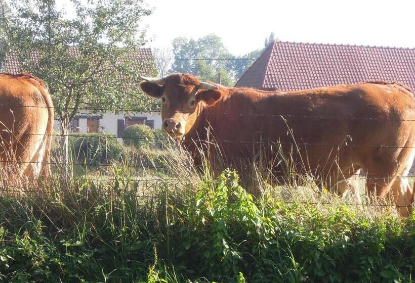 Bed and Breakfast La Maison De Lalette