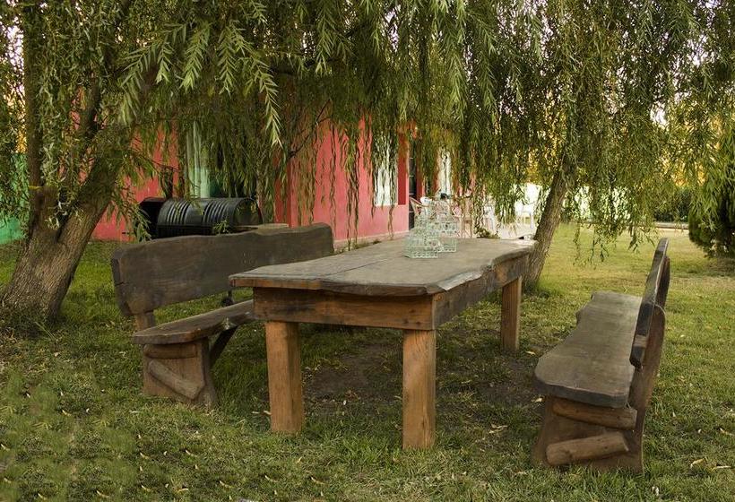 住宿加早餐  Las Lechuzas