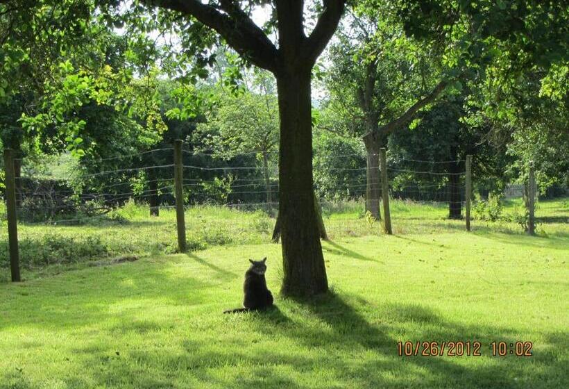 Bed and Breakfast Le Moulin De L`epinay