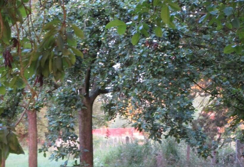 Bed and Breakfast Le Moulin De L`epinay