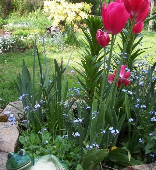 צימר Le Moulin Du Bignon