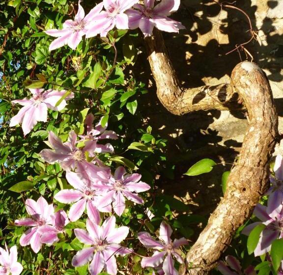 צימר Le Moulin Du Bignon