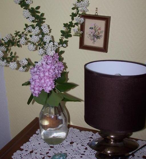 צימר Le Moulin Du Bignon