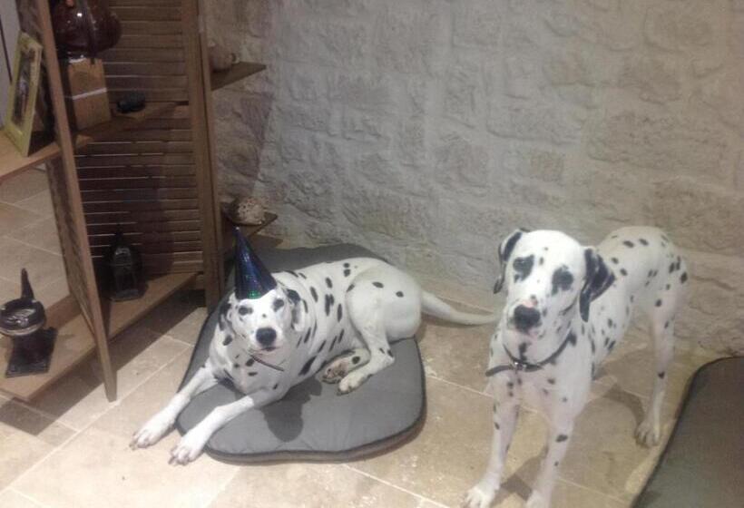 민박 Le Sang Des Vignes