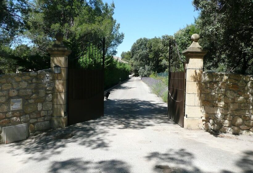 تختخواب و صبحانه Mas Les Vieux Chenes