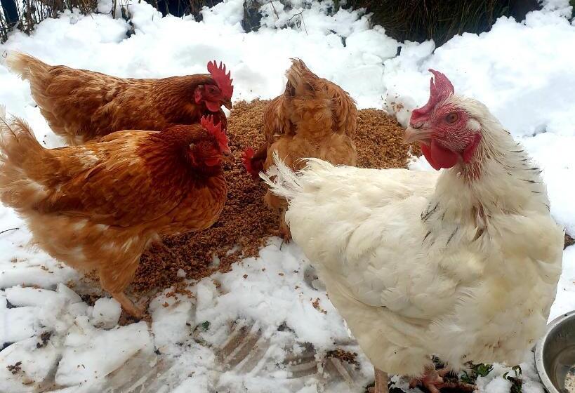 Bed and Breakfast Mouli Del Riu