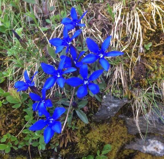 Bed and Breakfast Mouli Del Riu