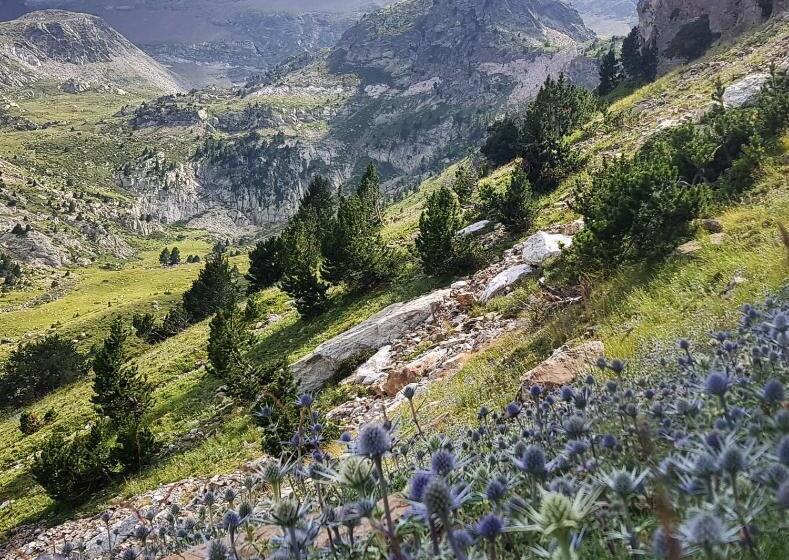 Bed and Breakfast Mouli Del Riu