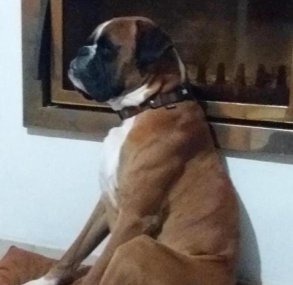 민박 Chambres D Hotes ,hotel ,secret D Une Nuit A Vicq Prės De Onnaing,avec Piscine