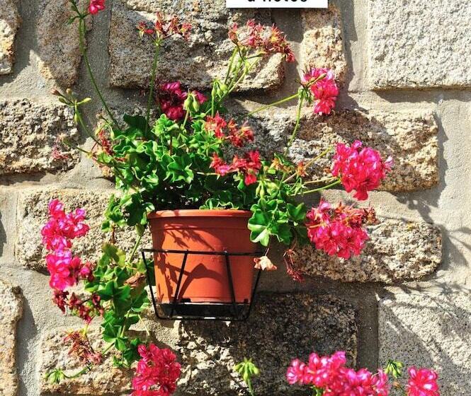 مبيت وإفطار Ti Er Mad