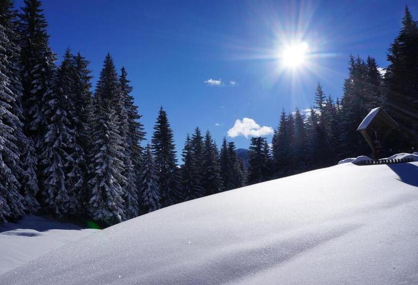 Отель Alte Post