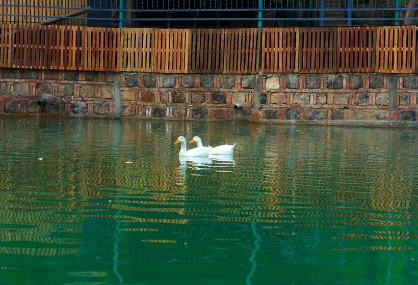 هتل Amiran`s Lake