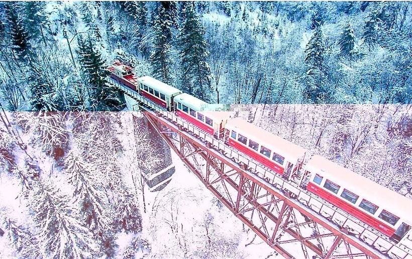 هتل Bakuriani Plaza B 217