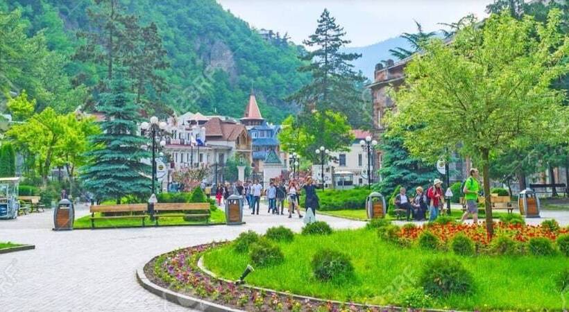 هتل Bakuriani Plaza B 217